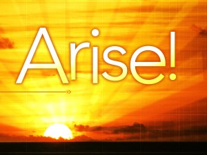 arise_t_nv