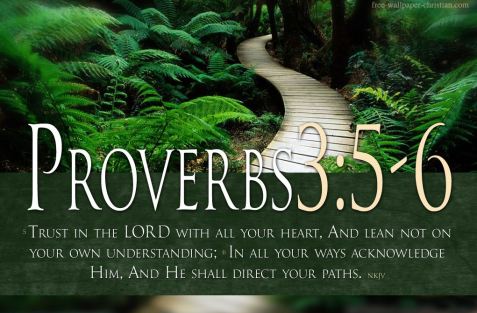 Proverbs 3_5-6 NKJV