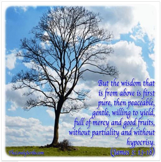 Wisdom from Above (James 3_13-18)