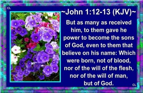 John 1_12-13