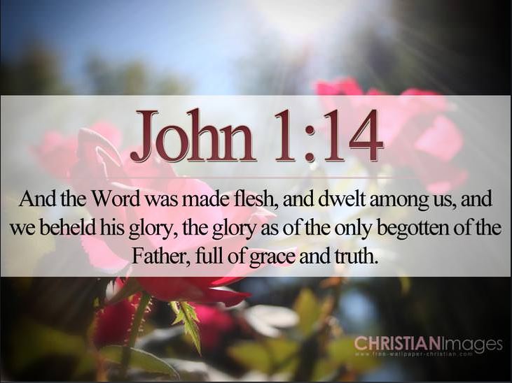 John 1_14 (2)