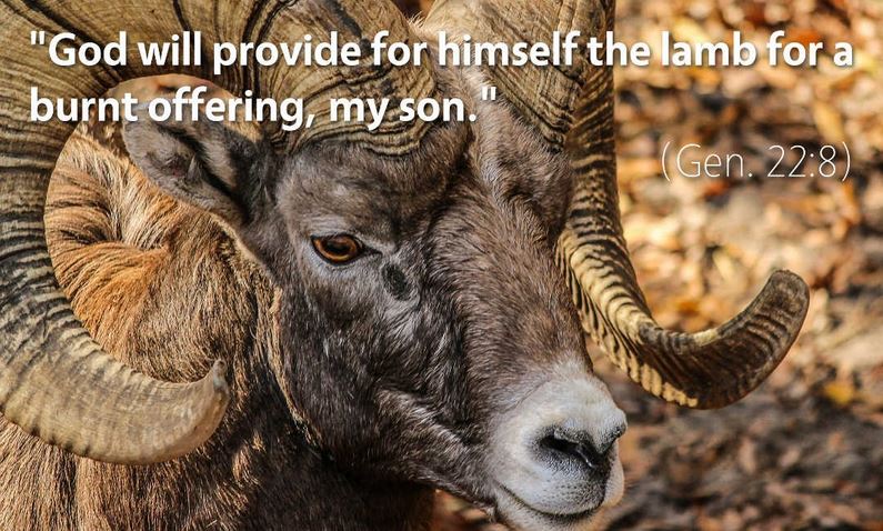 genesis 22_8