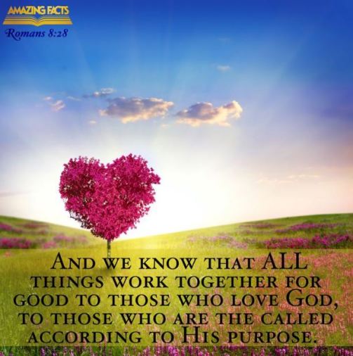 Romans 8_28 (3)