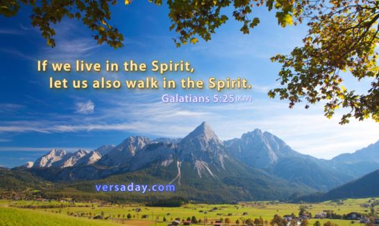 Galatians 5_25