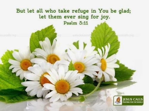 Psalm 5_11