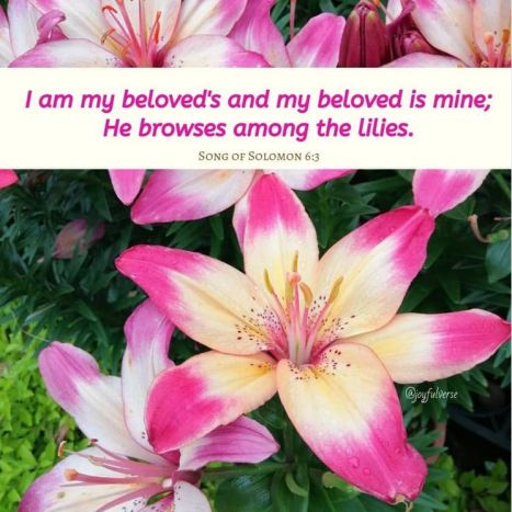 Song of Solomon 6_3