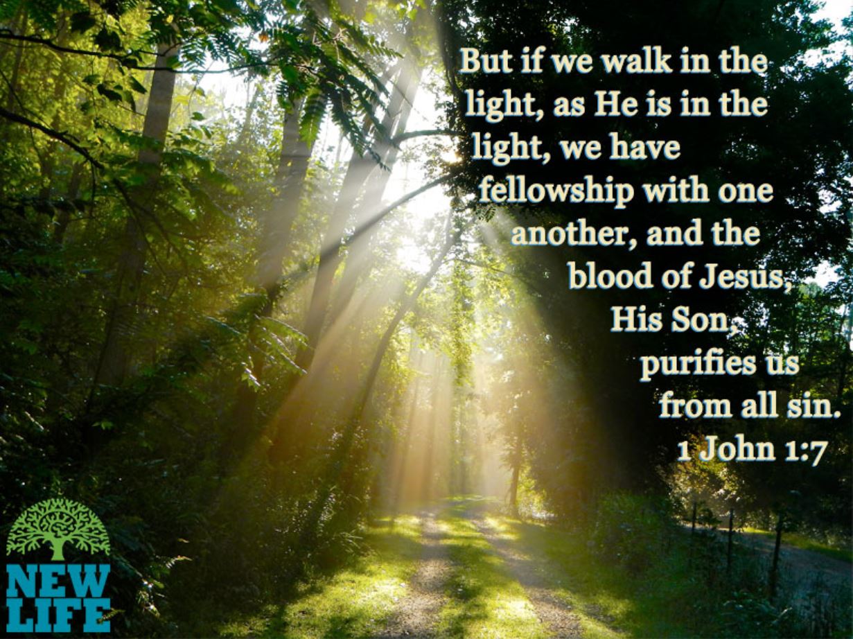1 John 1_7 (6)